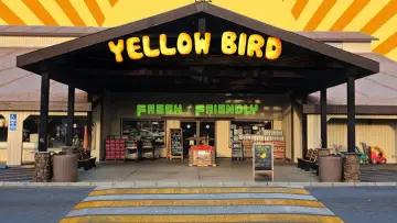 Задник к фильму "Yellow Bird" #743579