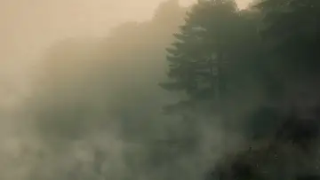 Задник к фильму "Devil in the Ozarks" #1628244
