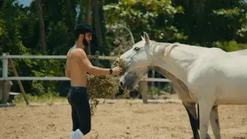 Задник к фильму "O Cavalo de Pedro" #842250