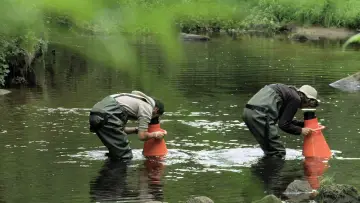 Задник к фильму "La Rivière" #1635821