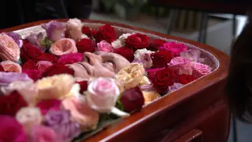 Задник к фильму "Rosebush Pruning" #952568