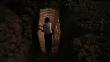 Задник к фильму "טרופיקנה" #788972