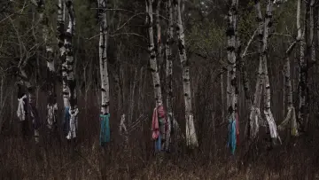 Задник к фильму "Gangland" #791252