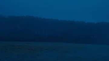 Задник к фильму "Зло не существует" #1385644