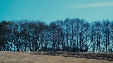 Задник к фильму "Зло не существует" #504024