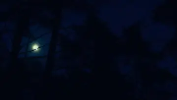 Задник к фильму "Зло не существует" #756355