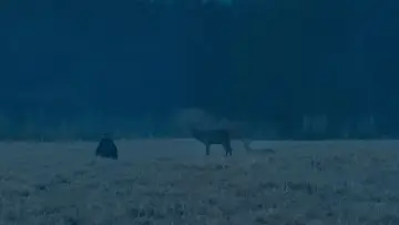 Задник к фильму "Зло не существует" #756361