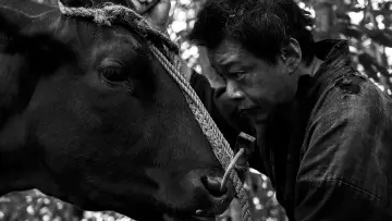 Задник к фильму "黒の牛" #543240