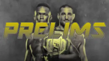 Задник к фильму "UFC 293: Adesanya vs. Strickland" #408452