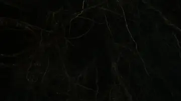 Задник к фильму "Молчаливый друг" #816433