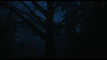 Задник к фильму "Молчаливый друг" #962630