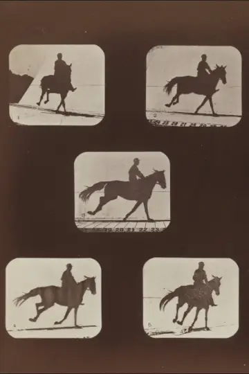Постер к фильму "The Horse in Action" #982814