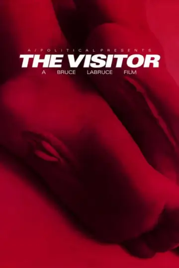 Постер к фильму "The Visitor" #191744
