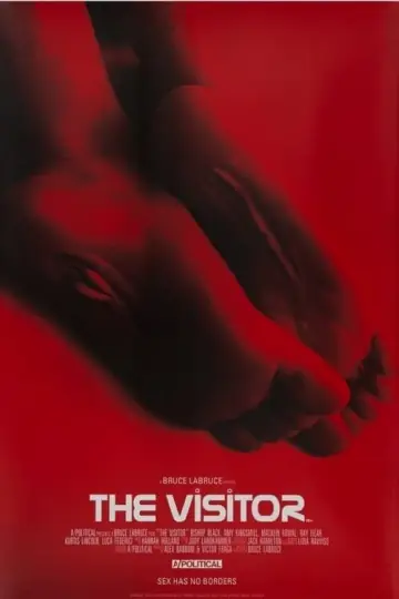 Постер к фильму "The Visitor" #191746