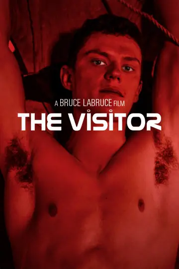 Постер к фильму "The Visitor" #756938