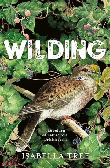 Постер к фильму "Wilding" #1115511