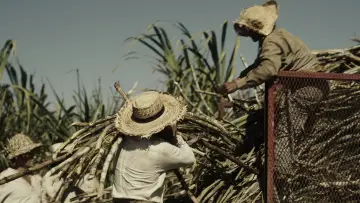 Задник к фильму "Érase una vez en el Caribe" #1121178
