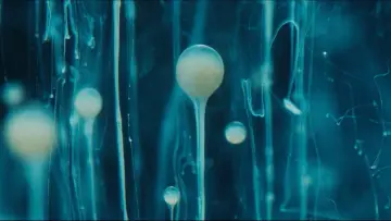 Задник к фильму "SPERMWORLD" #443192