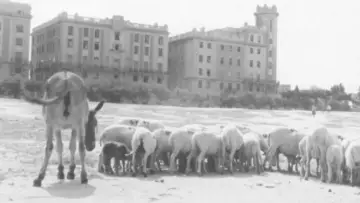 Задник к фильму "La primera mirada: historia de una escuela de cine" #788414