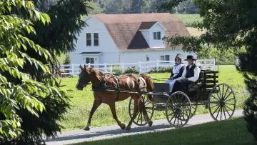 Задник к фильму "En Terre Amish" #438101