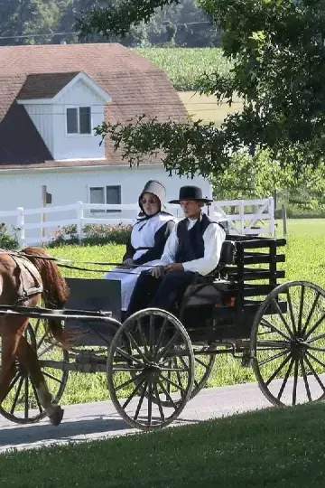 Постер к фильму "En Terre Amish" #438104
