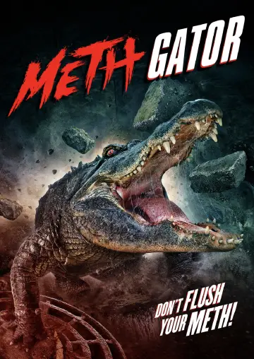 Meth Gator постер
