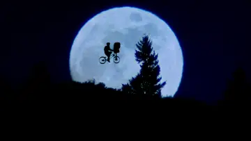 Задник к фильму "Steven Spielberg, l