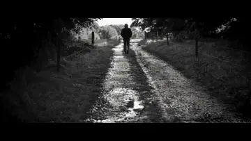 Задник к фильму "The Days of Trees" #450911