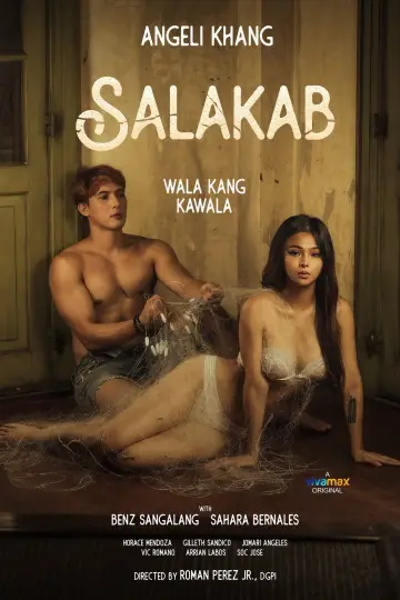 Salakab постер