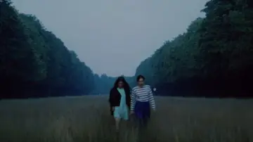 Задник к фильму "Portrait d’une jeune fille de la fin des années 60 à Bruxelles" #1144718