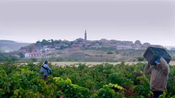 Задник к фильму "Rioja, la tierra de los mil vinos" #1644378