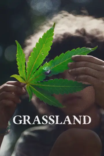 Grassland постер