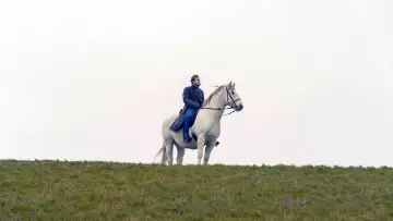Задник к фильму "Der Schimmelreiter" #1652313