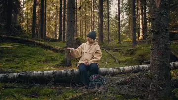 Havumetsän lapset постер