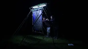 Задник к фильму "Ноктюрны" #787090