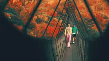 Задник к фильму "非诚勿扰 3" #197817