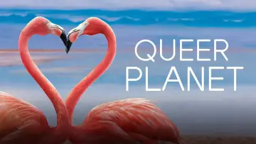 Задник к фильму "Queer Planet" #1122479