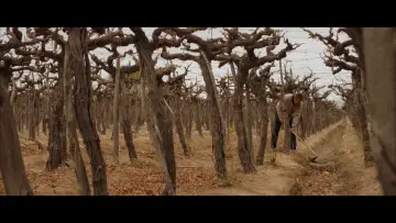 Tierra Yerma постер