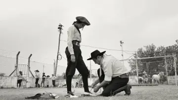 Задник к фильму "Gaucho Gaucho" #353634