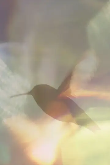 Постер к фильму "Every Little Thing" #198088