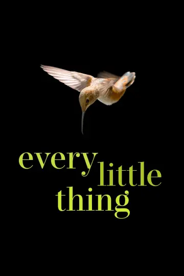 Постер к фильму "Every Little Thing" #791369