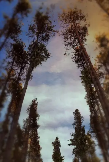 Постер к фильму "Нежить" #838418