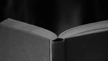 Задник к фильму "The Book Club" #199082