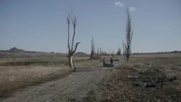 Задник к фильму "Сірі бджоли" #694424