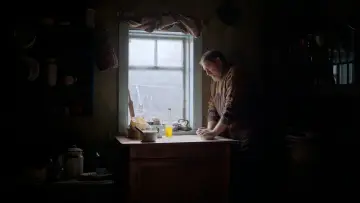 Задник к фильму "Сірі бджоли" #694436