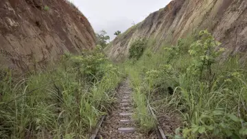 Задник к фильму "Congo-Océan, un chemin de fer et de sang" #470268
