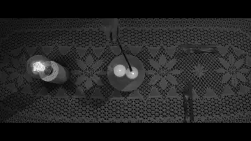 Задник к фильму "White Picket Fence" #449014