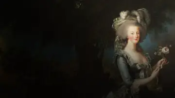 Задник к фильму "Les Trésors de Marie-Antoinette à Versailles" #984950