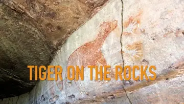 Задник к фильму "Tiger on the Rocks" #200049