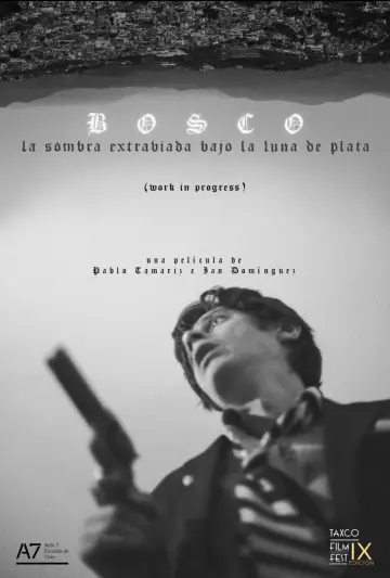Постер к фильму "Bosco: La Sombra Extraviada Bajo la Luna de Plata" #480678